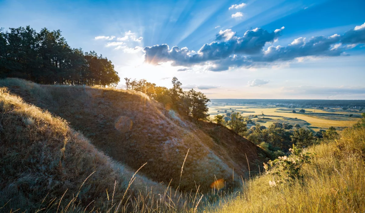 reklamować? Dobrze albo wcale!