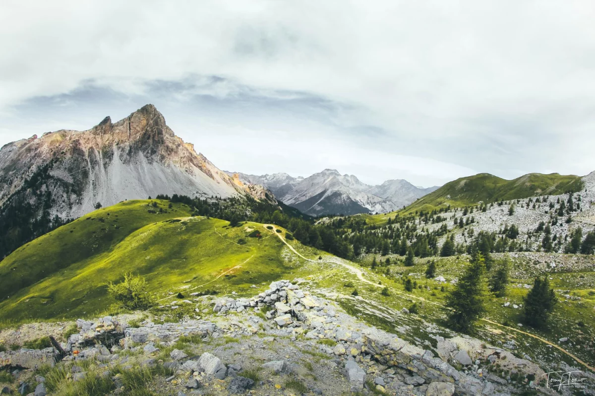 Czy w 2021 warto  robić tanie pozycjonowanie?