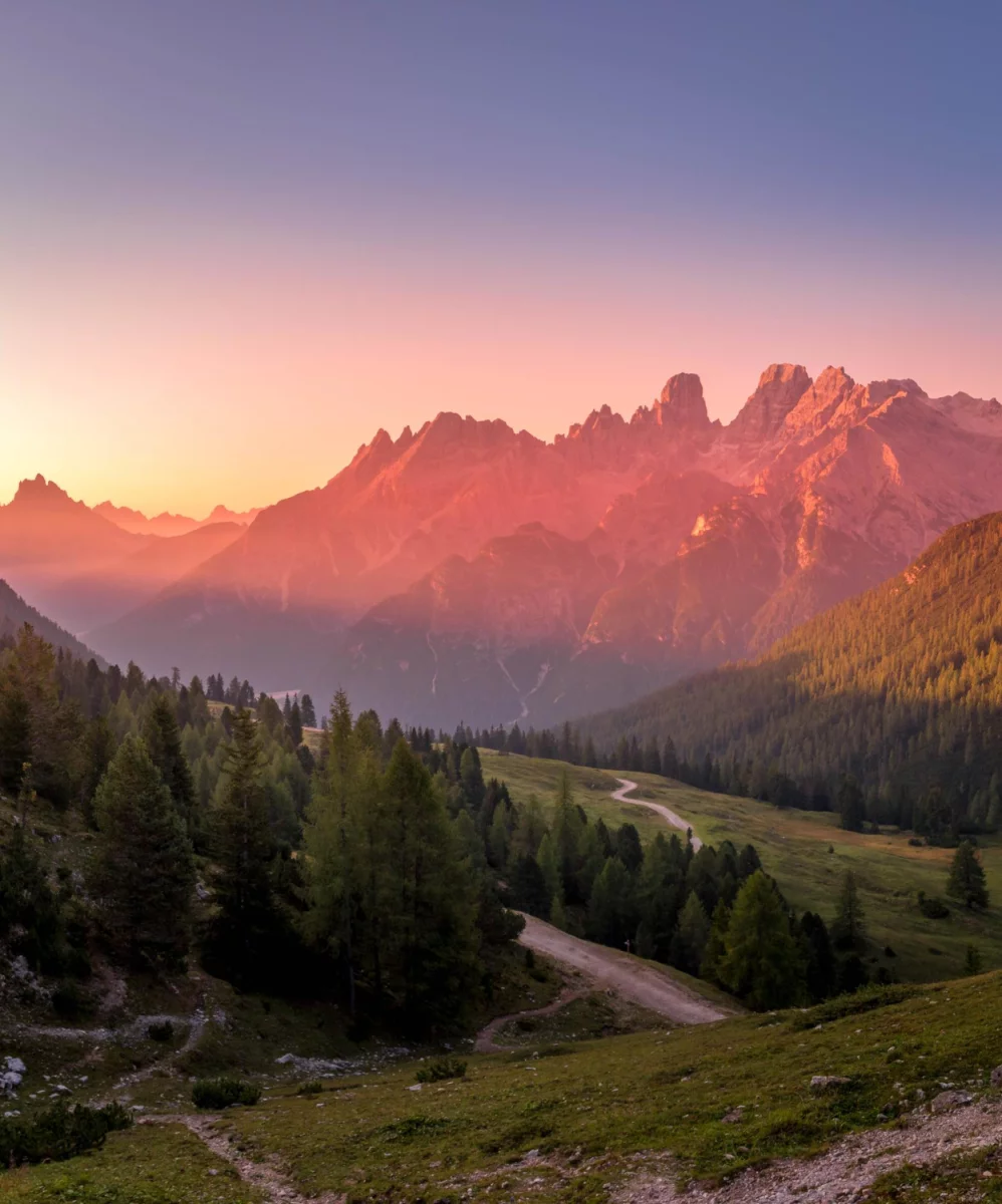 Jak długo musisz kupić para cord?