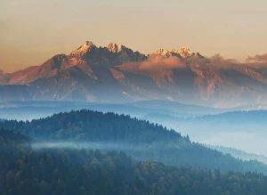 Nie Czytaj Tego Jeśli NIE Chcesz Wydrukować Reklamę