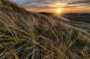 Kilka faktów jak cyklinować parkiet
