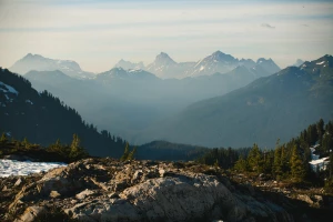 Zobacz te informacje jak złożyć raport do kobize